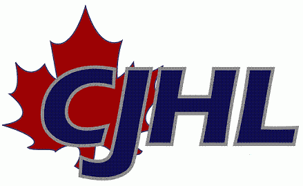 CCHL 2009 Primary logo iron on heat transfer